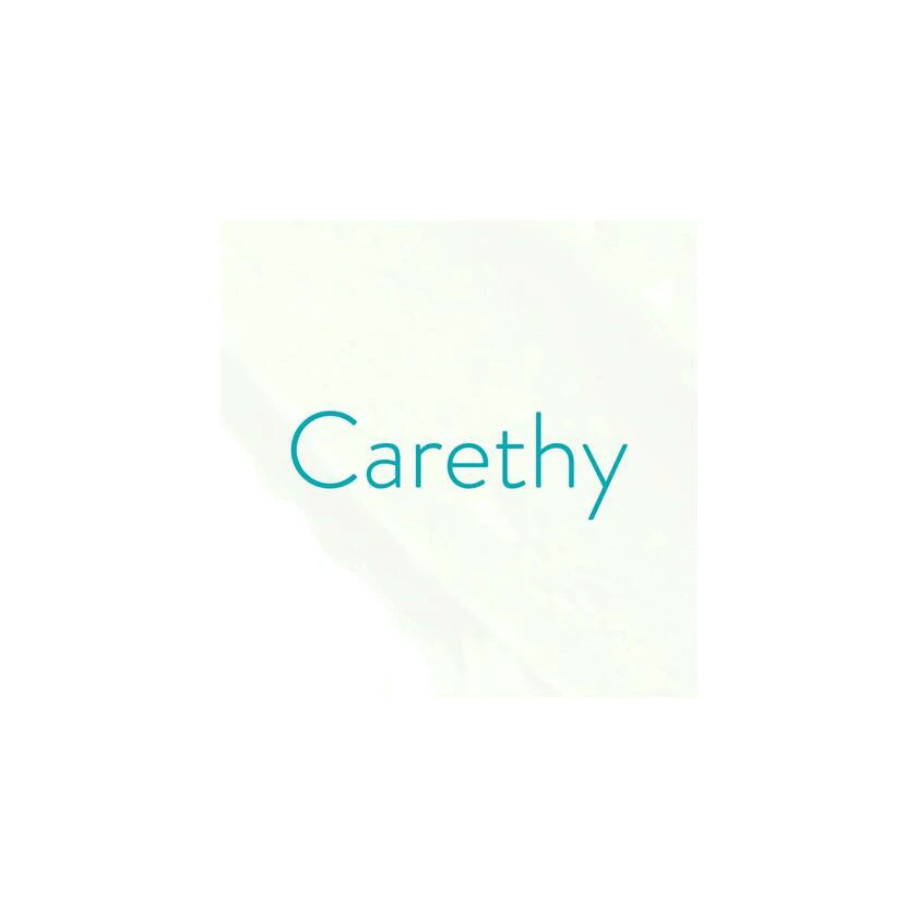 carethy.net